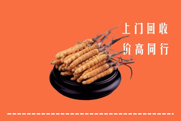 高价求购：高碑店市回收散虫草