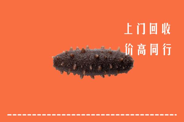 高碑店市回收海参