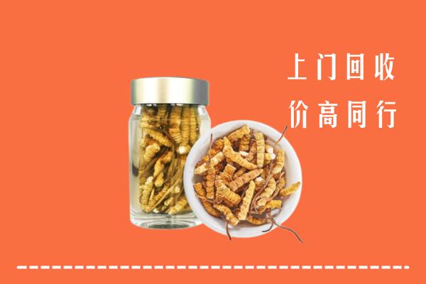 高碑店市回收冬虫夏草