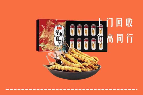 高碑店市回收虫草
